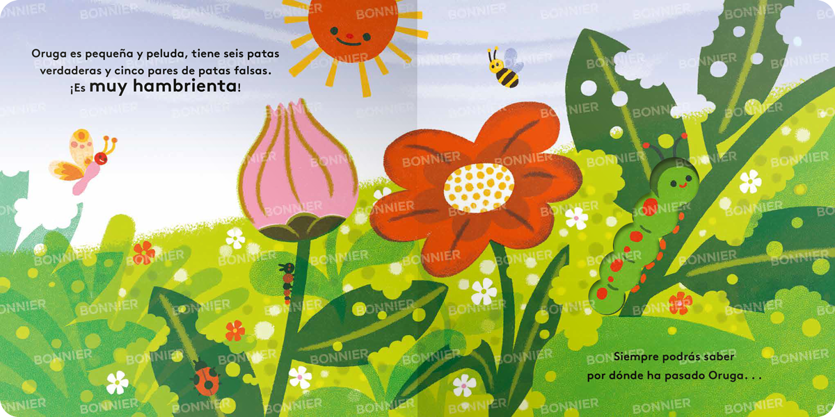 Libro Pequeños ciclos de la vida - ORUGA-2