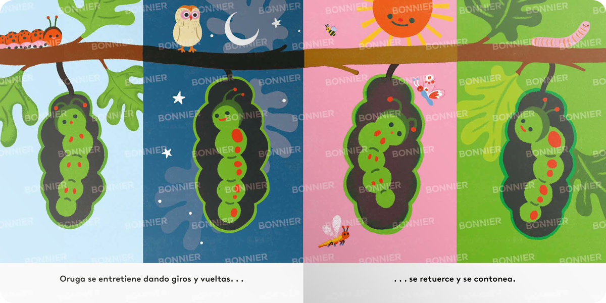 Libro Pequeños ciclos de la vida - ORUGA-3