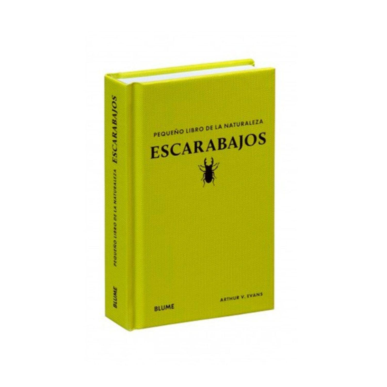 Escarabajos - Pequeño libro de la naturaleza-3