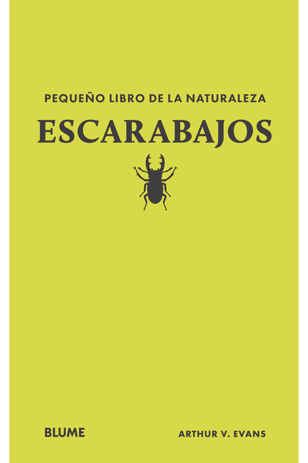 Escarabajos - Pequeño libro de la naturaleza-5