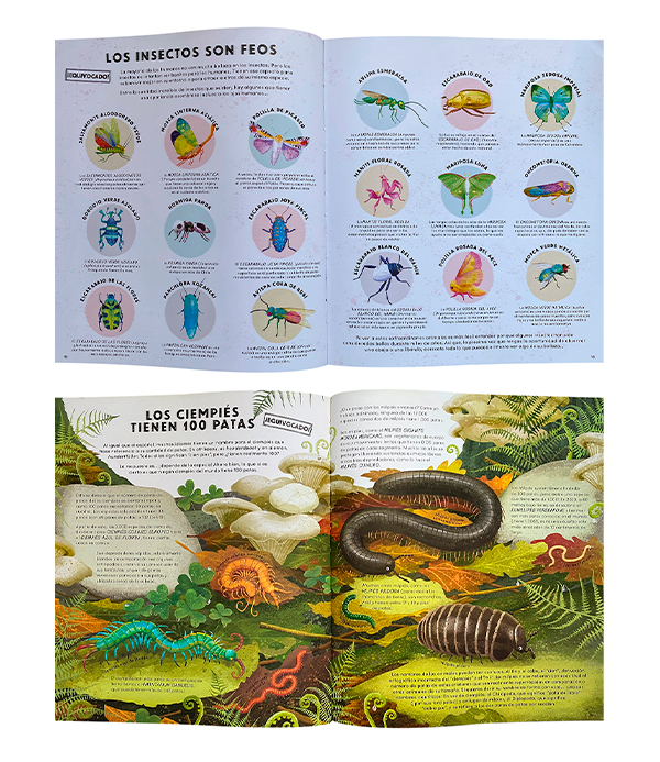 Todo Lo Que Sabes Sobre Los Insectos Esta Equivocado-2