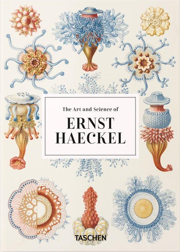 Colección 40 aniversario  - Ernst Haeckel-4
