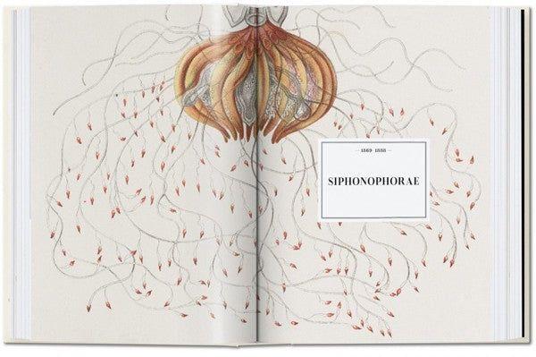 Colección 40 aniversario  - Ernst Haeckel-5