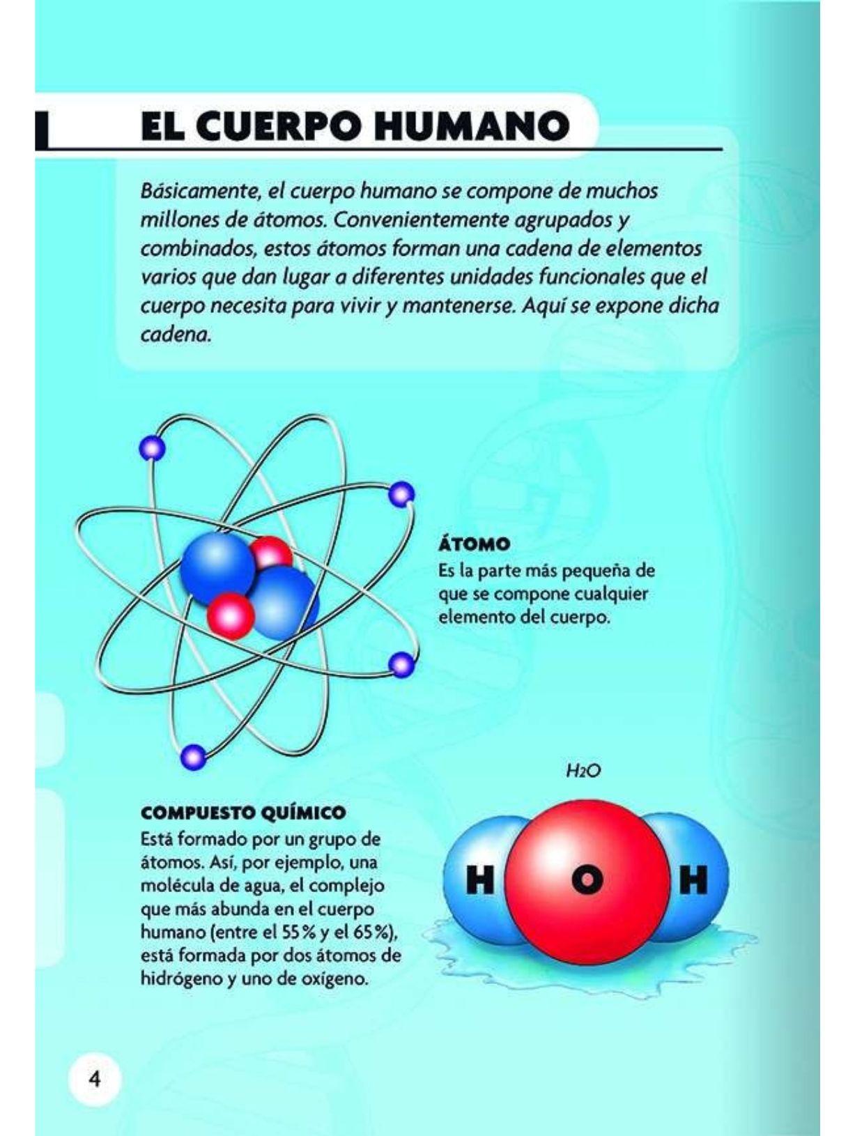 Descubro y juego - El cuerpo humano-2