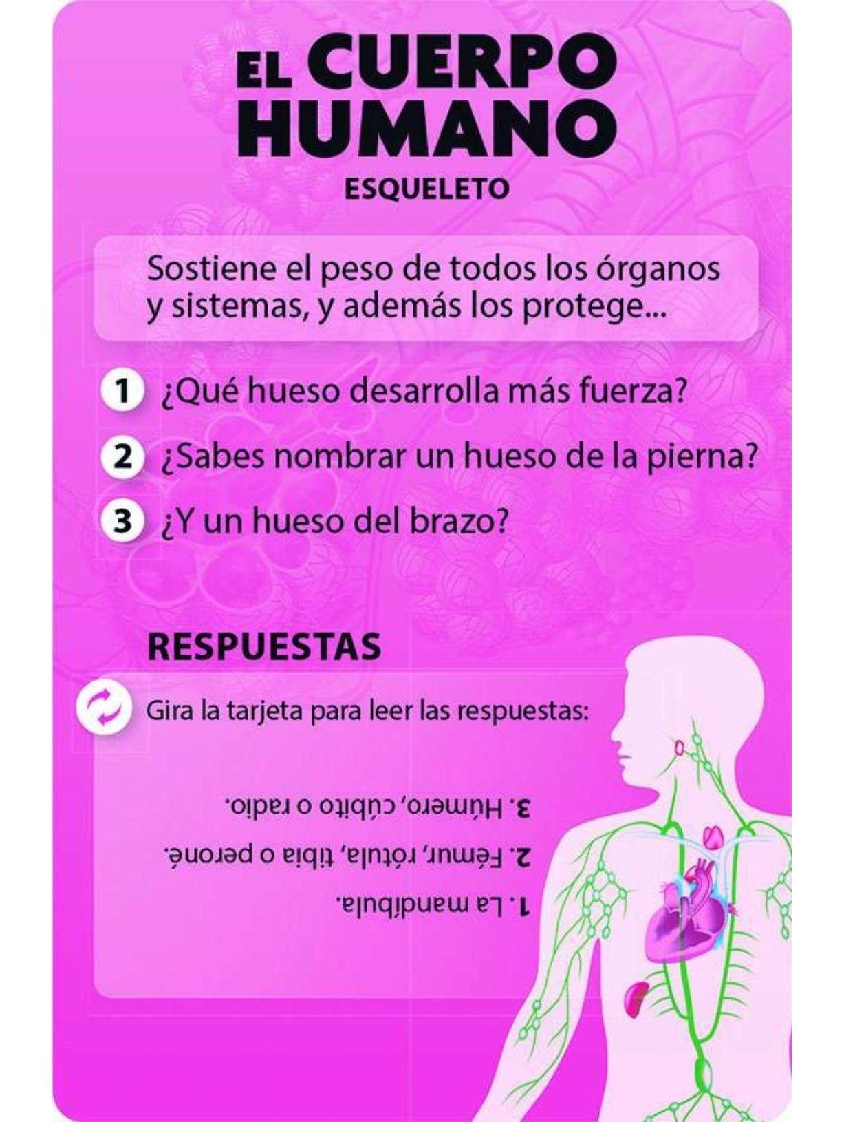 Descubro y juego - El cuerpo humano-5