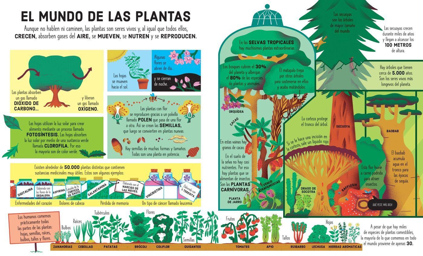Libro Y Puzzle - Arbol De La Vida (300 Piezas)-2