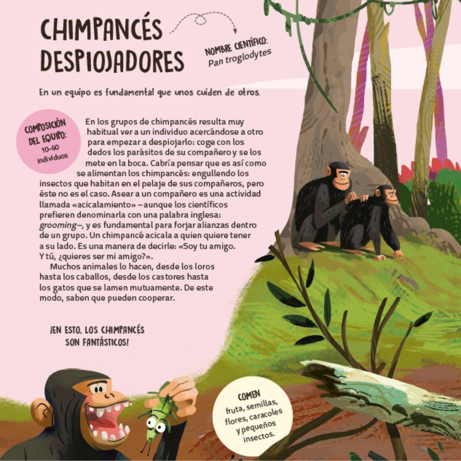 Trabajo en equipo. Aprender de los animales-2