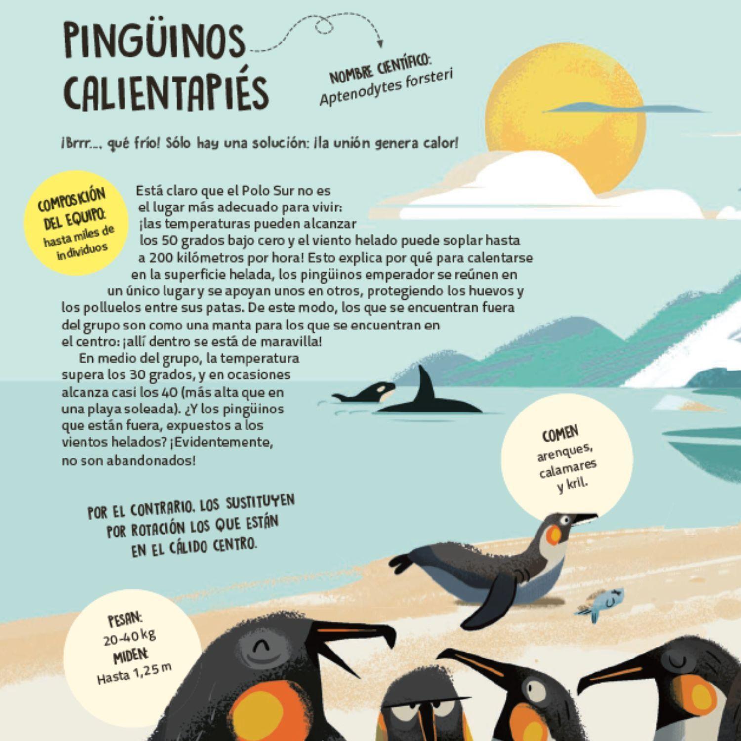 Trabajo en equipo. Aprender de los animales-3