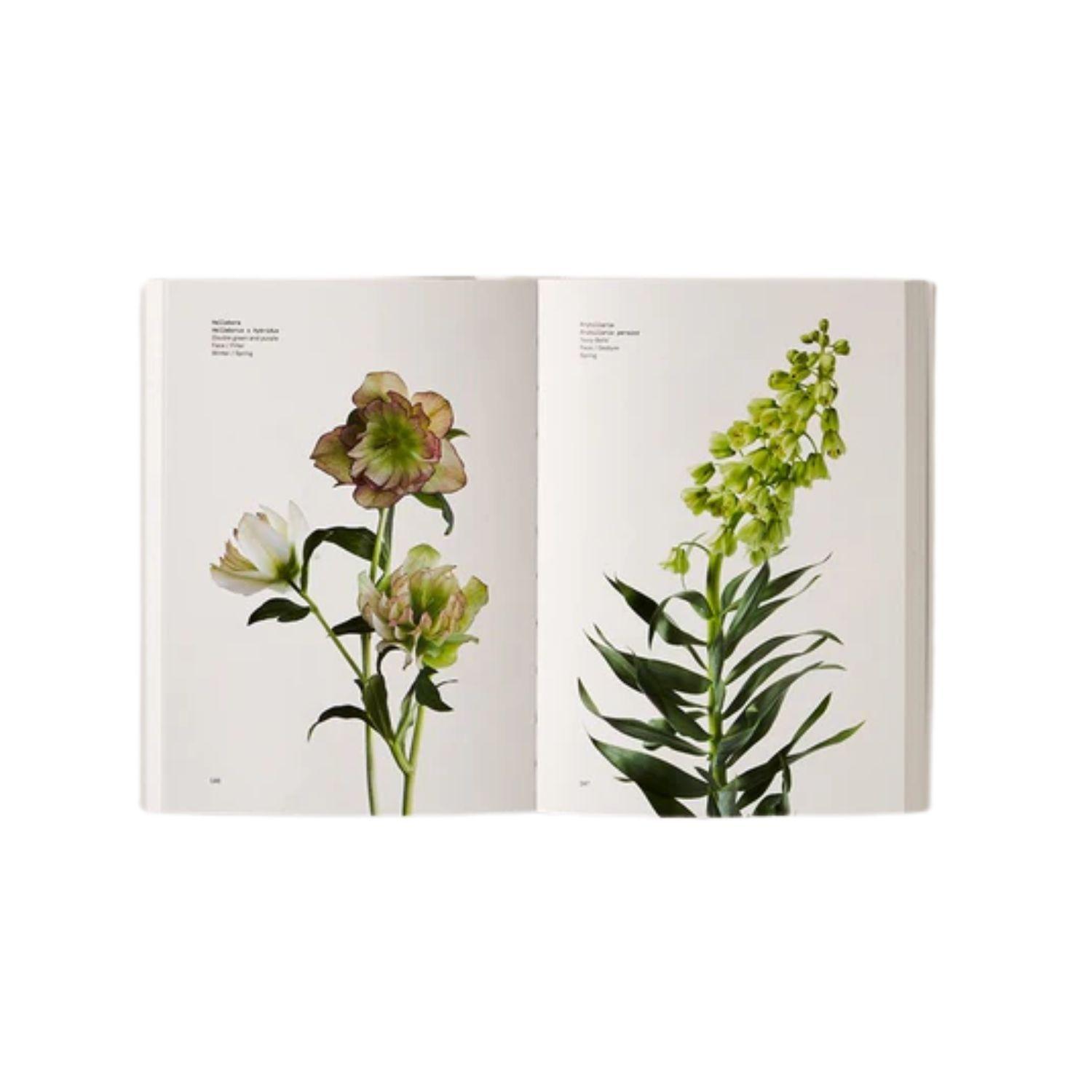 Guía cromática floral-3