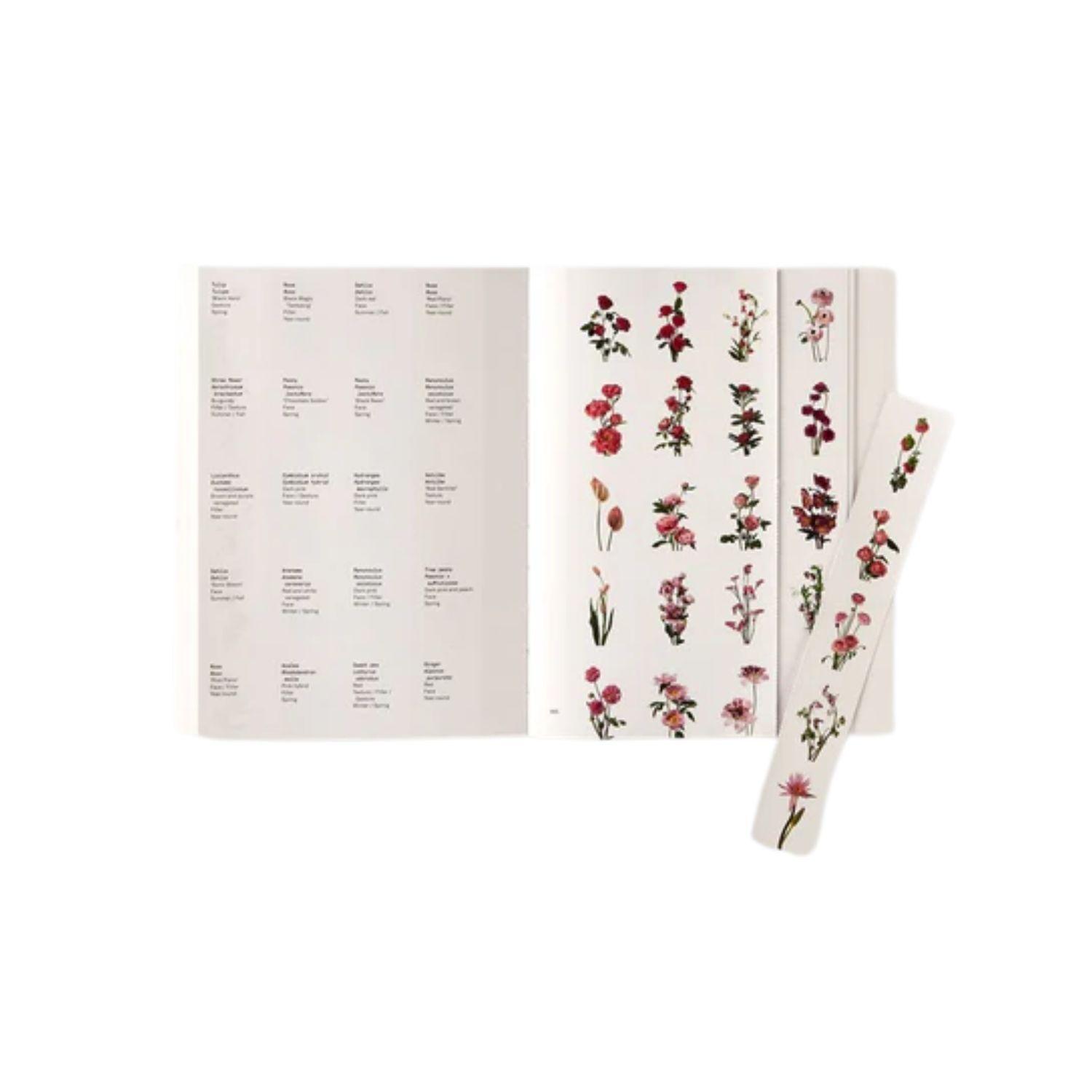 Guía cromática floral-4