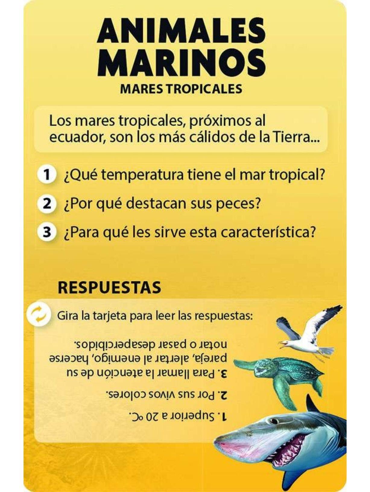 Descubro y juego - Animales marinos-2
