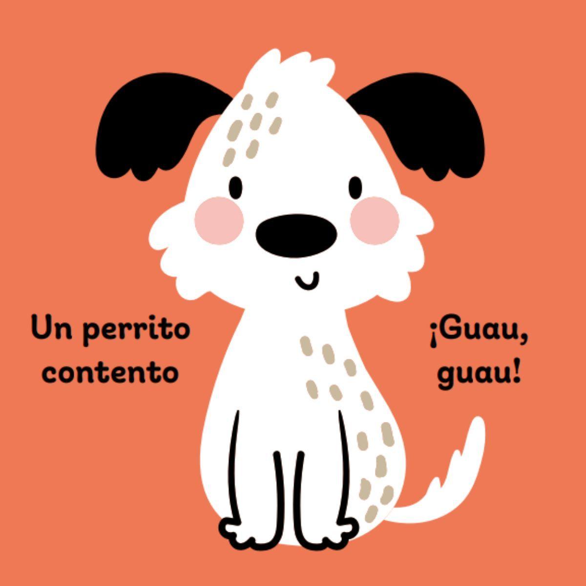 Estimulacion Visual 6M+-3