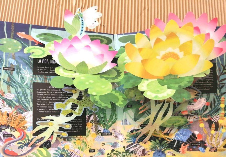 Pop-Up Tierra de Editorial Edelvives-2