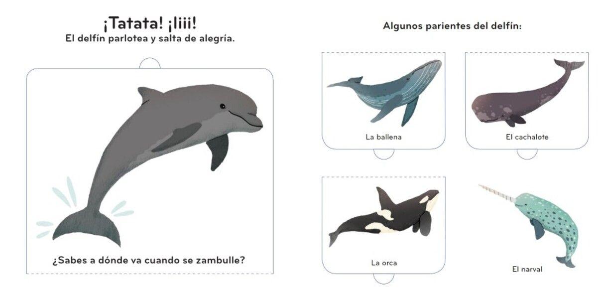 Primeros Descubrimientos - Los Animales Salvajes-2