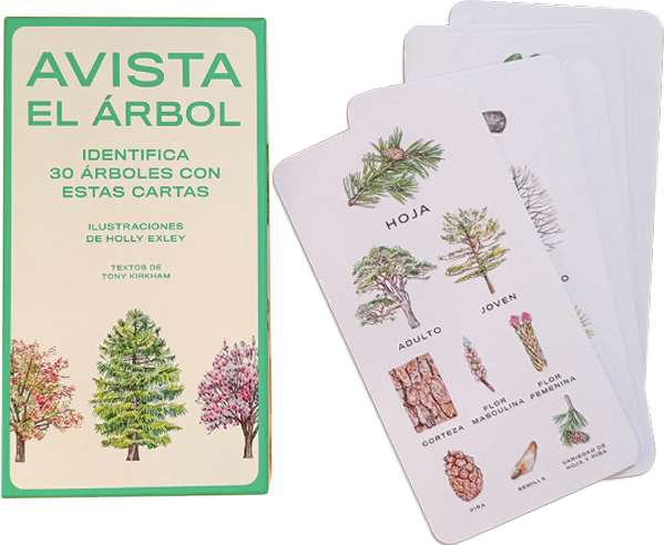 Avista El Árbol de Editorial MTM-3