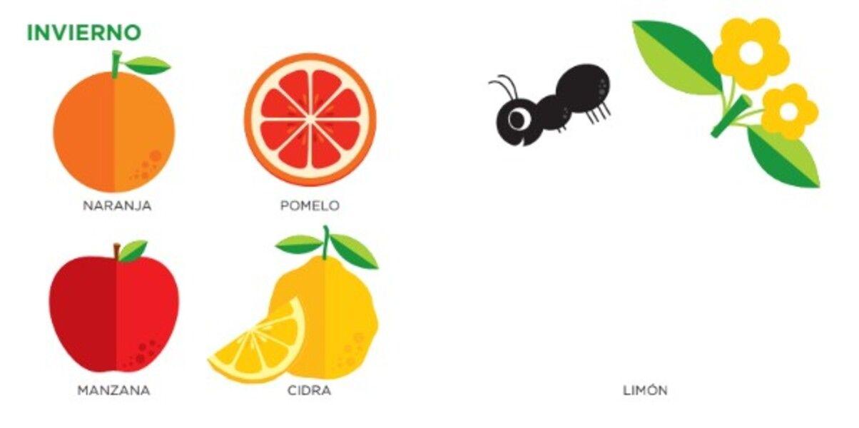 Libro Frutas de temporada-2