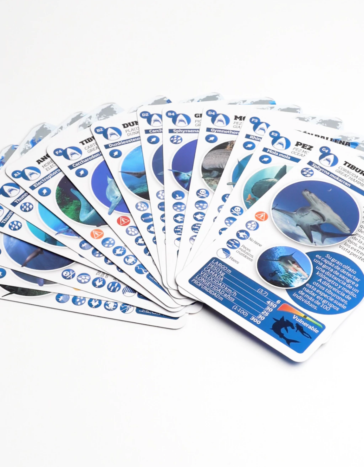 Enciclopedia de animales. Gigantes de las profundidades-3