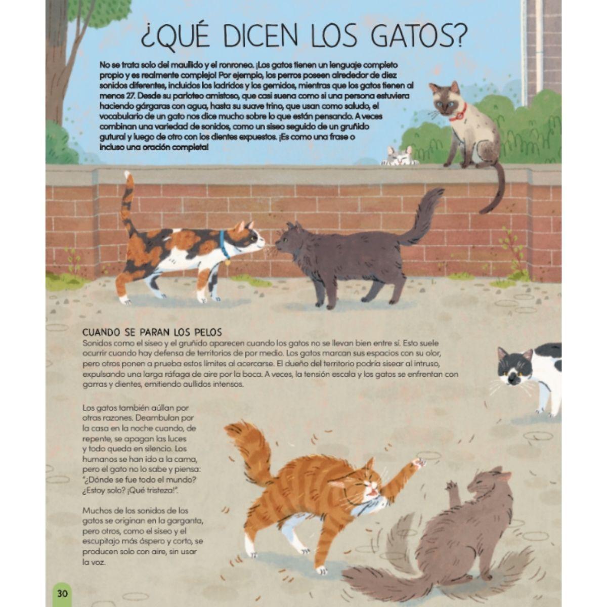 Un mundo de gatos-2