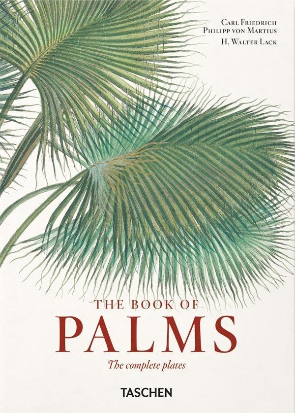 40 - Martius. El libro de las Palmeras-0