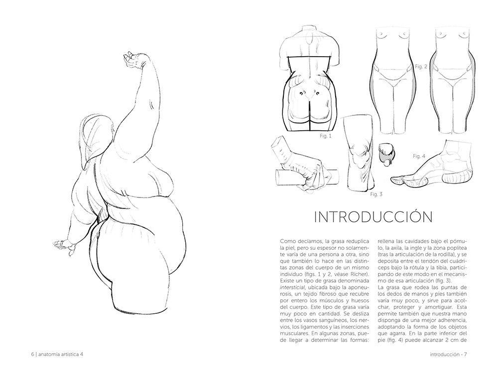 Anatomía Artística 4-2