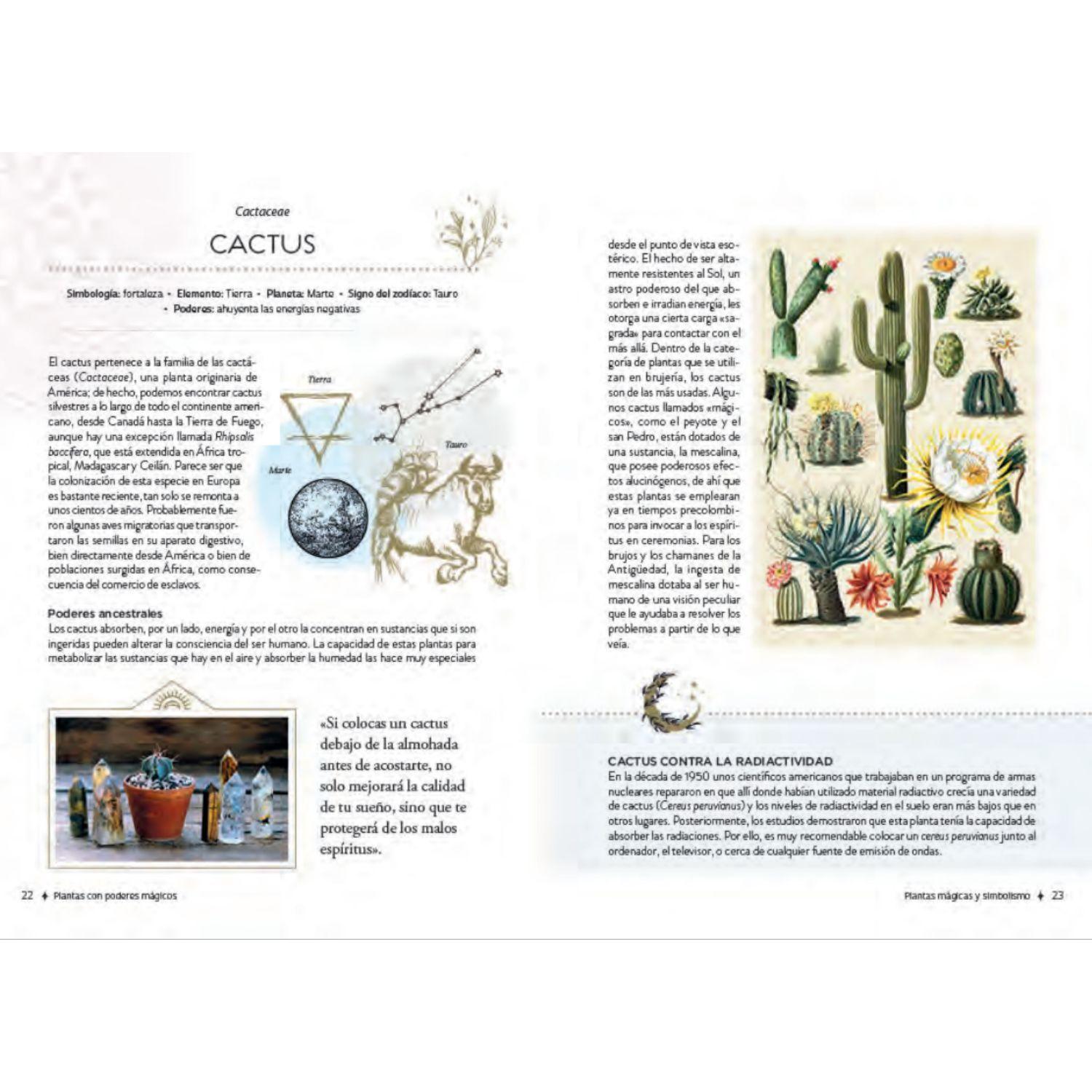 Libro PLANTAS CON PODERES MAGICOS-3