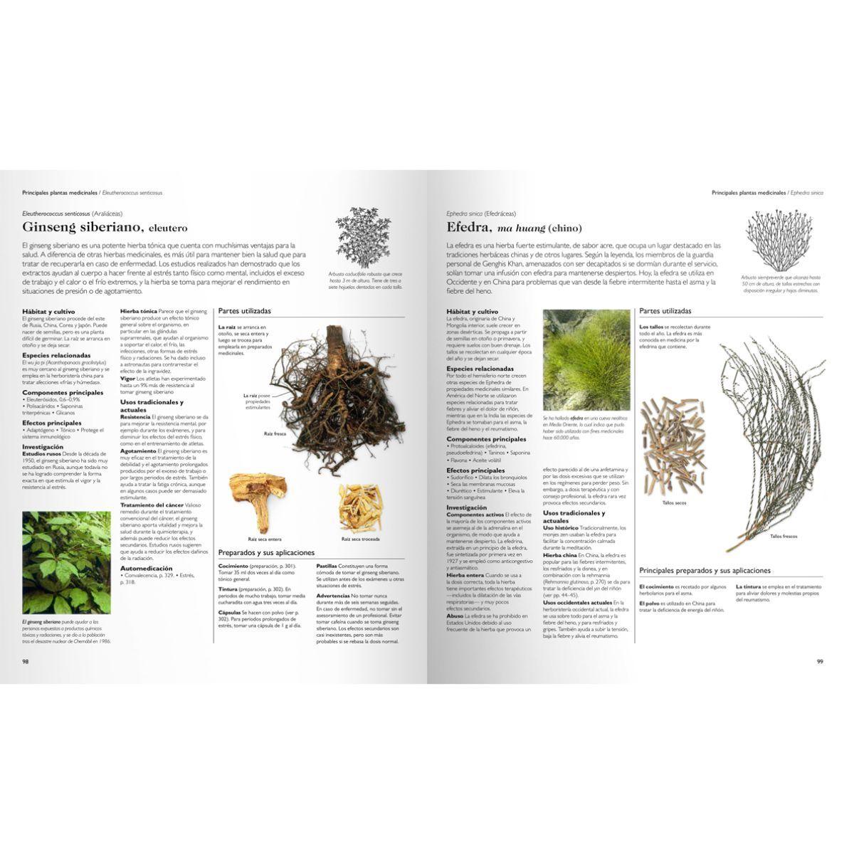 Enciclopedia de plantas medicinales-2