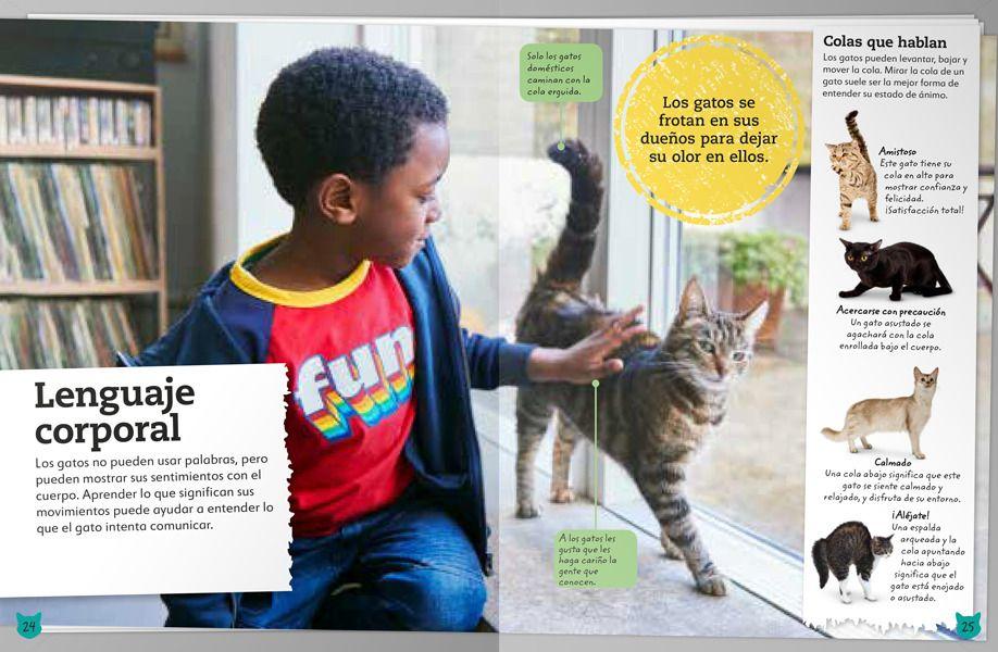 Libro Mi Libro de Gatos y Gatitos-4