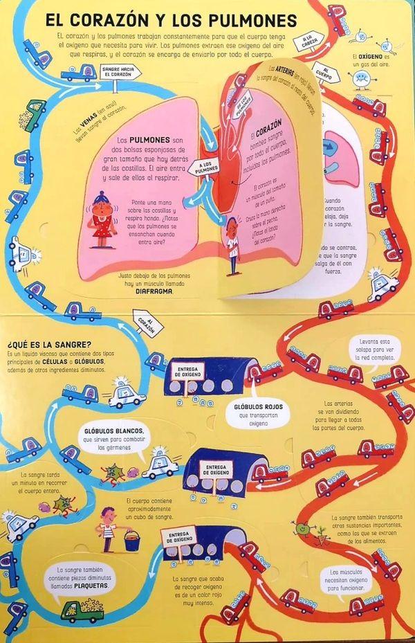 Solapas Para Aprender - El Cuerpo Humano-2