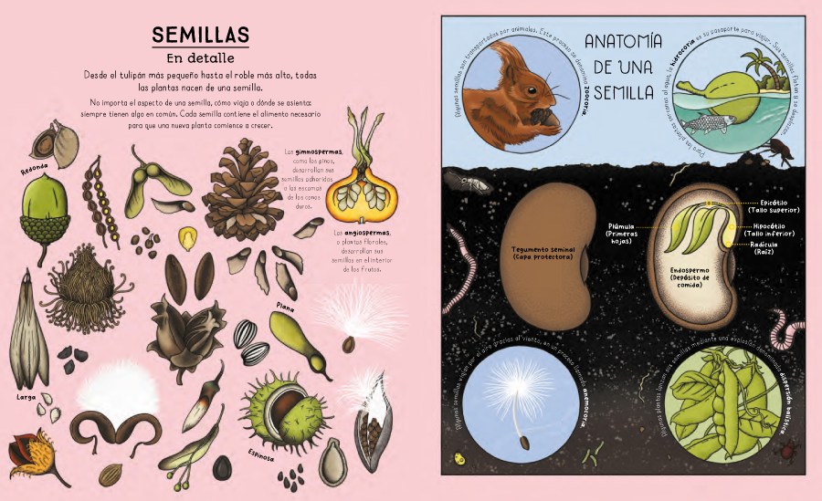 Ciclos de la naturaleza-2