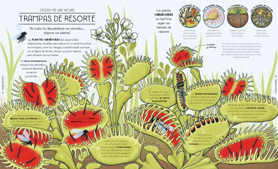 Ciclos de la naturaleza-3