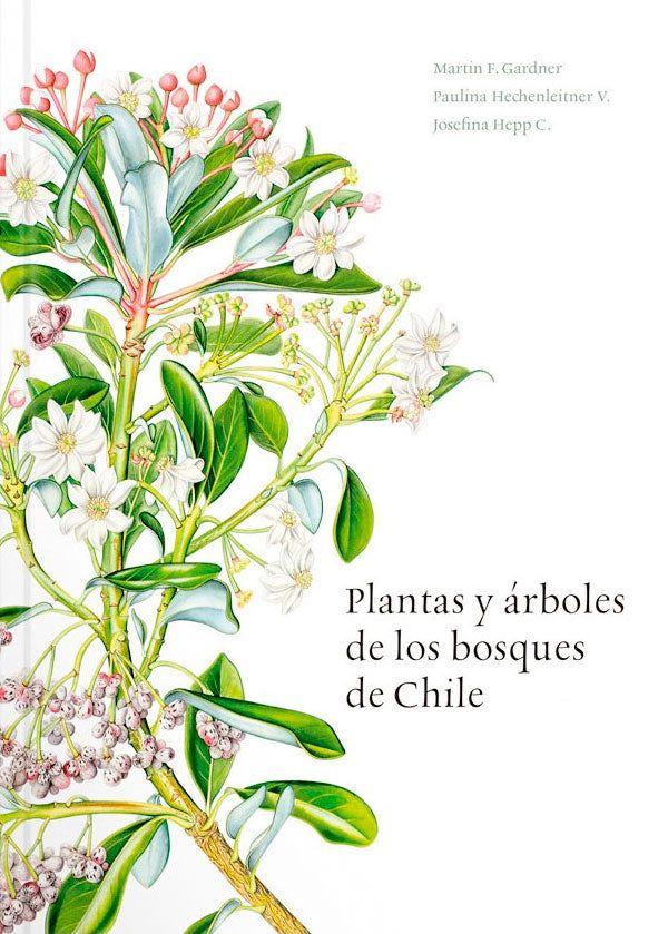Plantas y árboles de los bosques de Chile-6