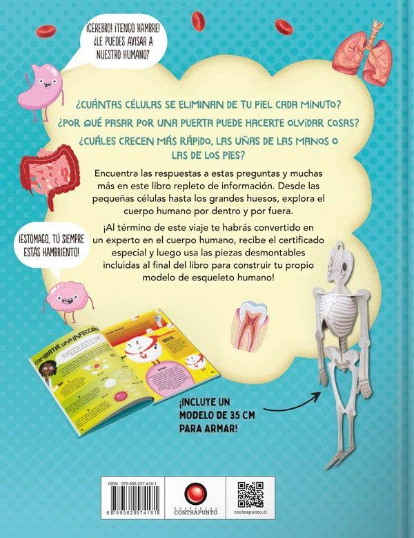El Increíble Mundo De… El Cuerpo Humano (+ Modelo 3d)-6