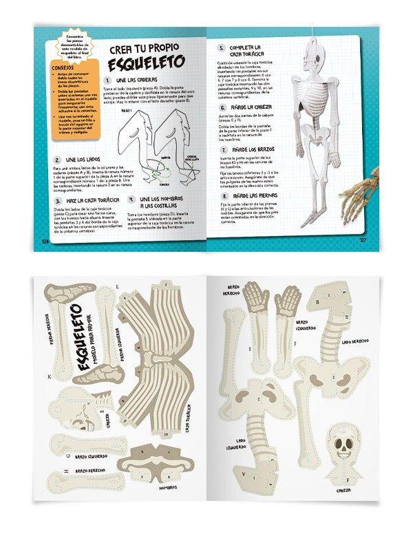 El Increíble Mundo De… El Cuerpo Humano (+ Modelo 3d)-7