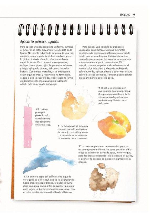 Acuarelas En 4 Pasos-2