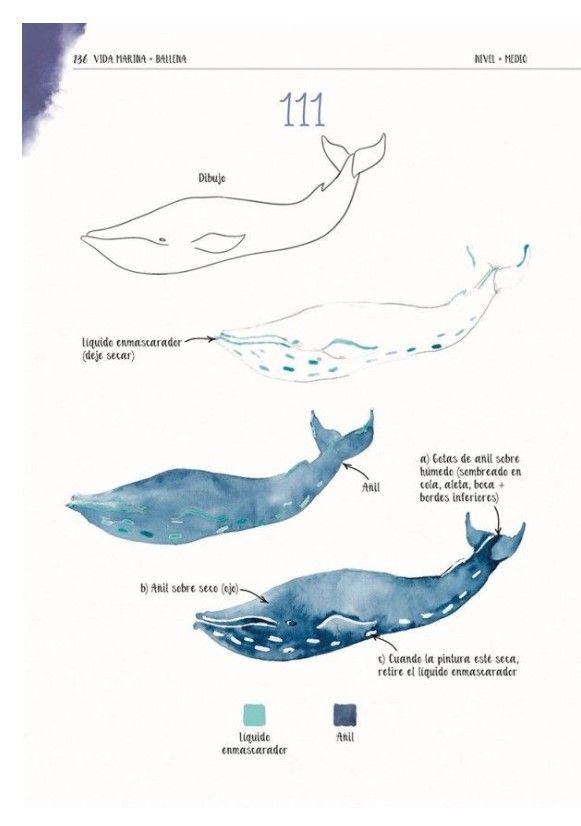 Acuarelas En 4 Pasos-4