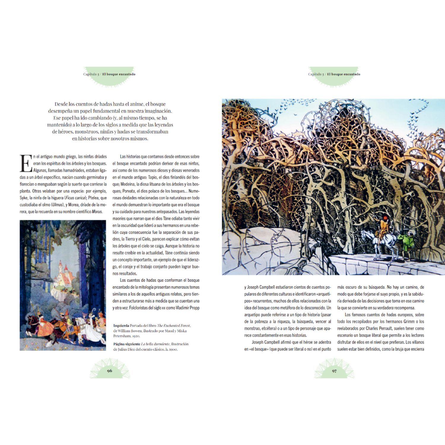 Libro BOSQUE DE LAS BRUJAS-1