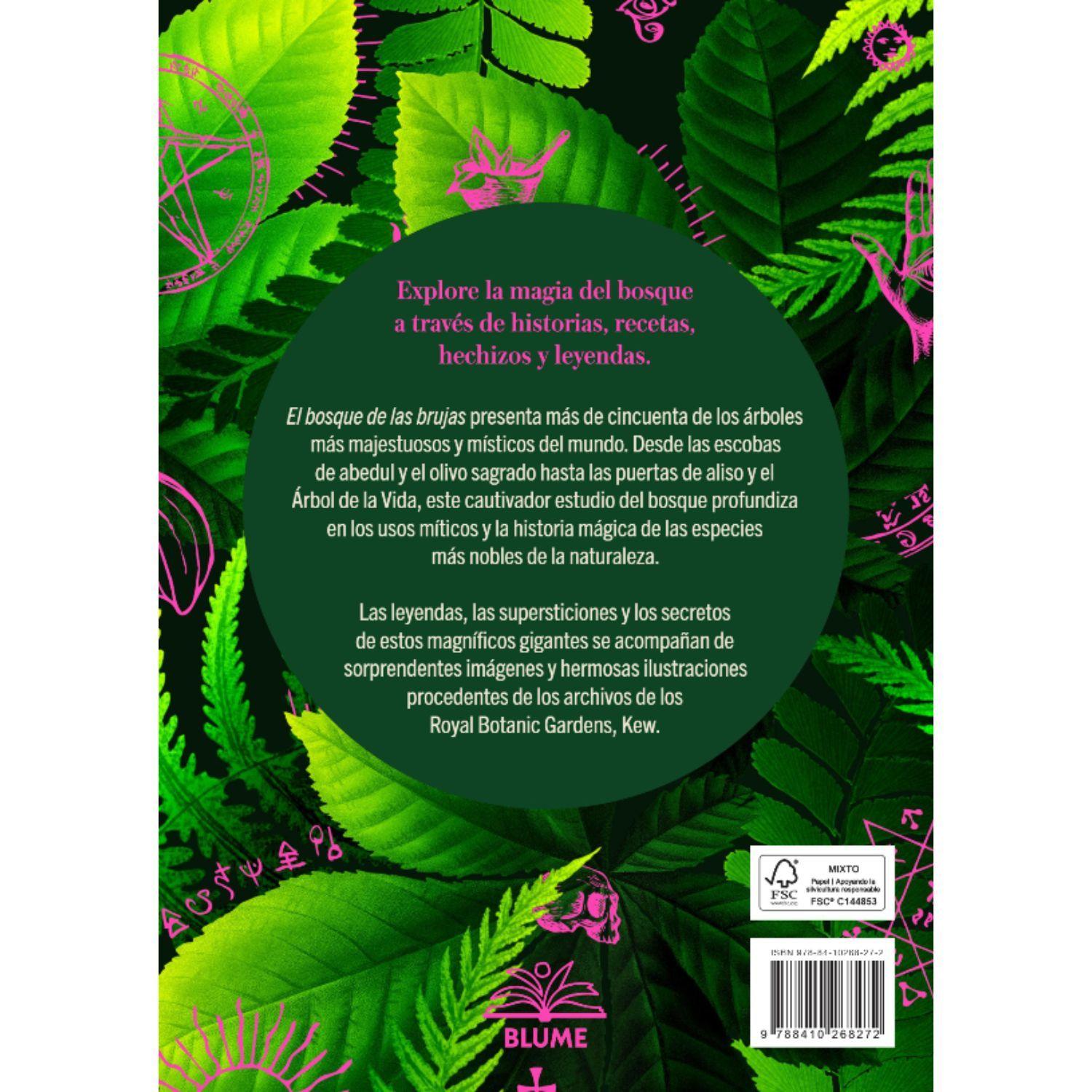 Libro BOSQUE DE LAS BRUJAS-2