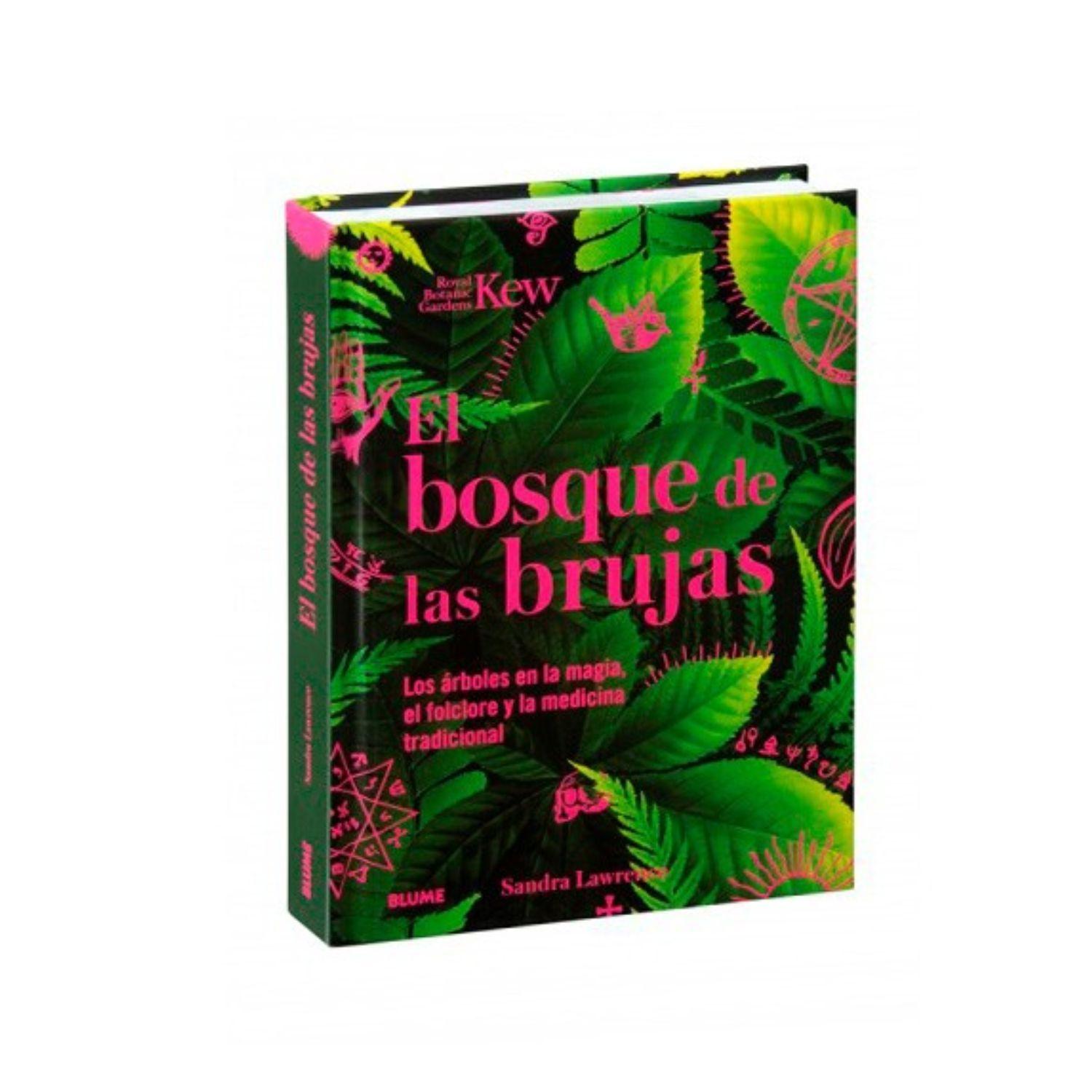 Libro BOSQUE DE LAS BRUJAS-3
