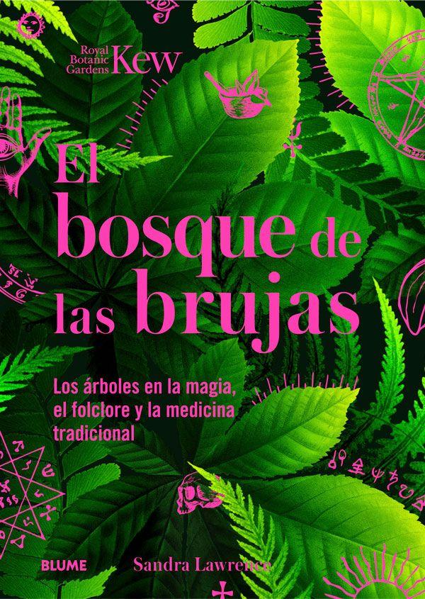 Bosque de las brujas-5