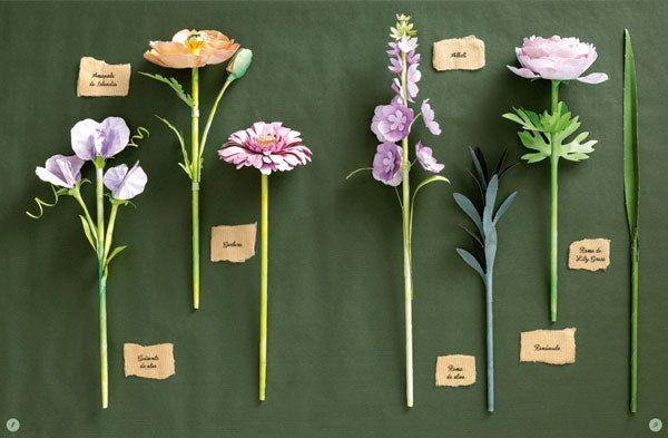 Flores de papel de Editorial Contrapunto-8