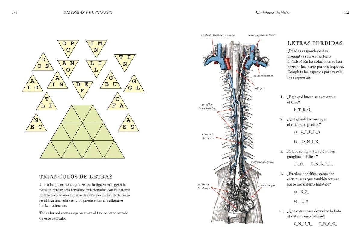 Anatomía De Gray. Retos Y Acertijos-3
