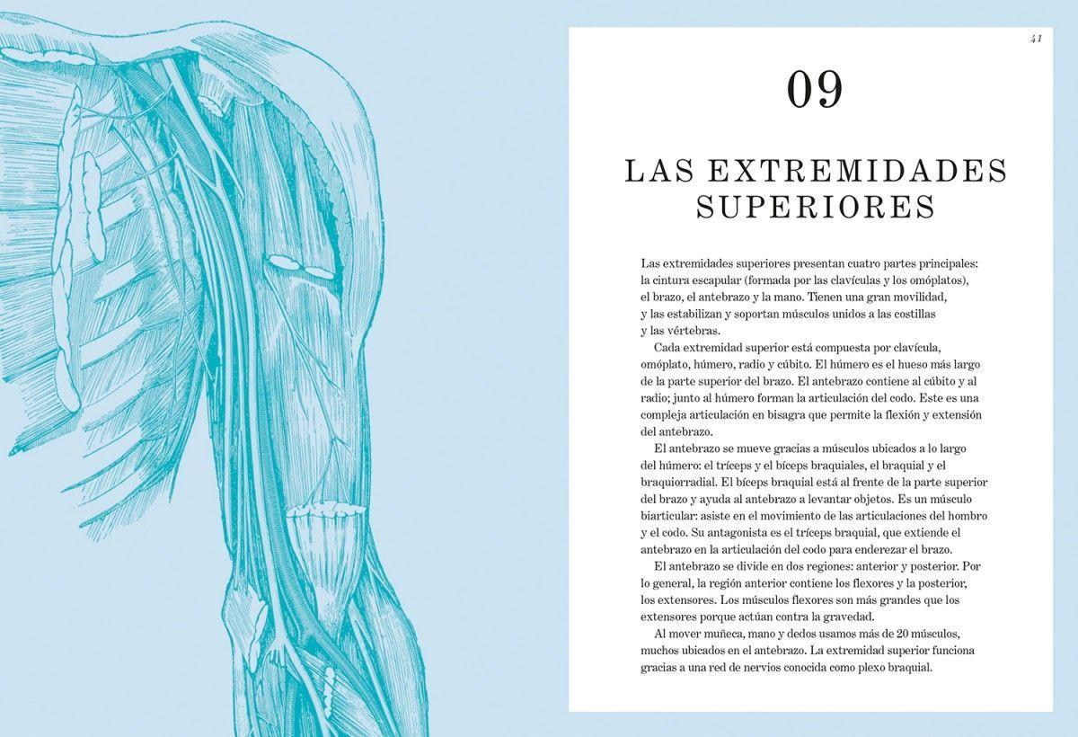 Anatomía De Gray. Retos Y Acertijos-4