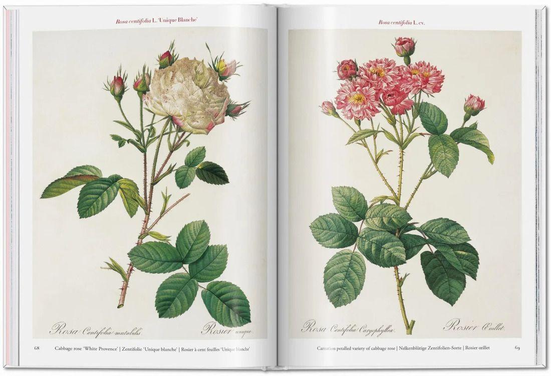 Libro Roses · Redouté · Pocket Book-2