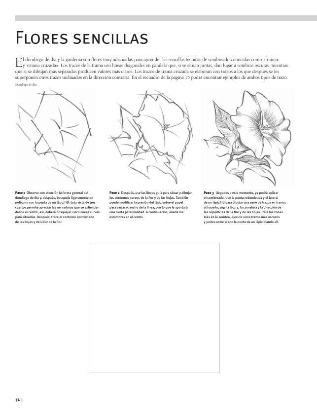 Guía Completa De Dibujo. Dibujo-4