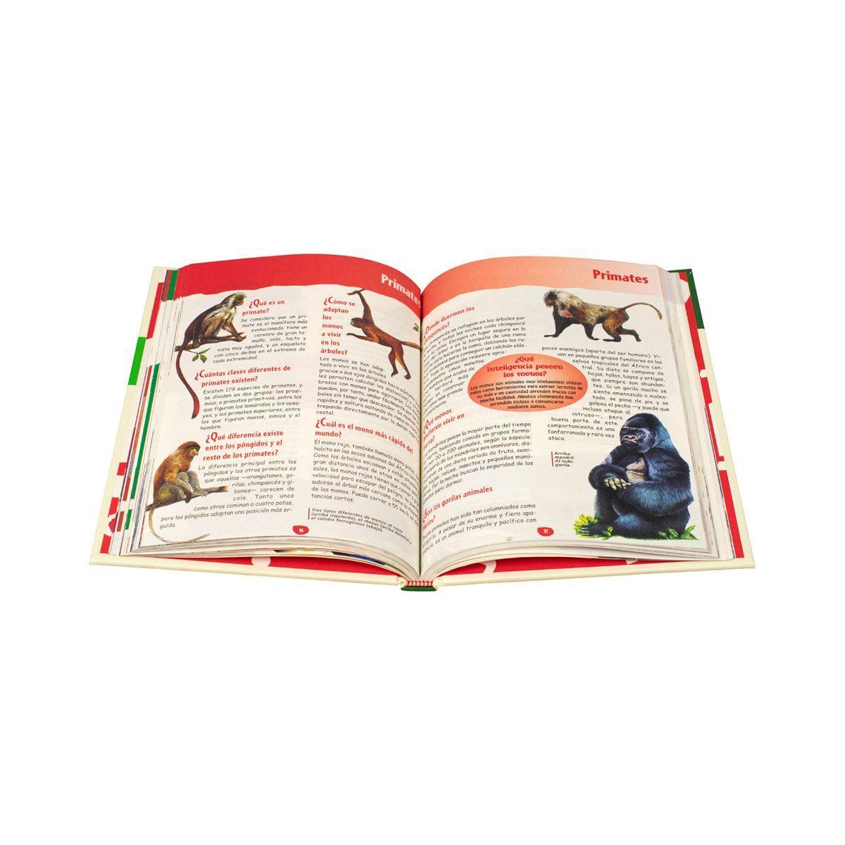 Libro EL PORQUE DE LAS COSAS-1