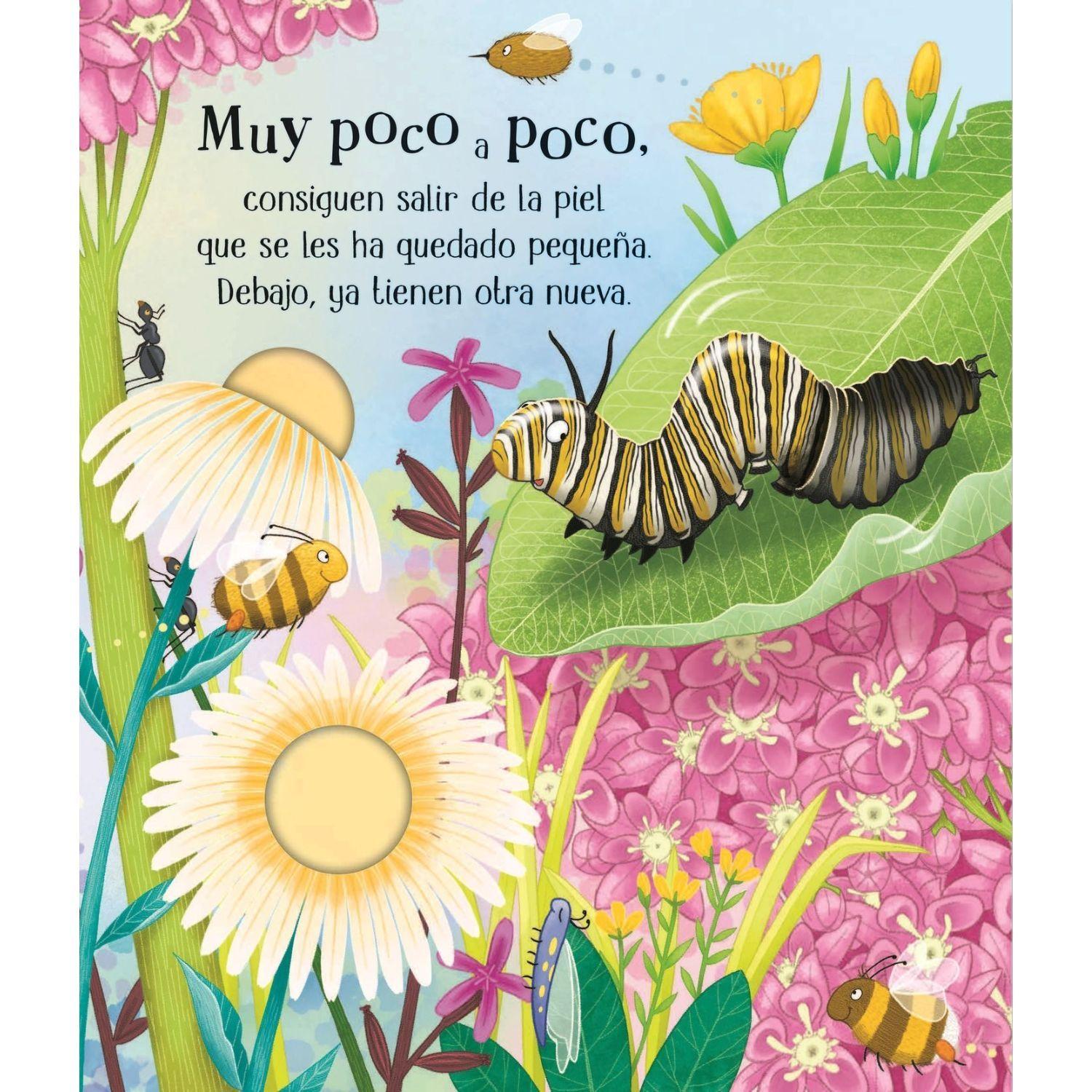 Libro CICLOS DE LA VIDA - UNA MARIPOSA-4
