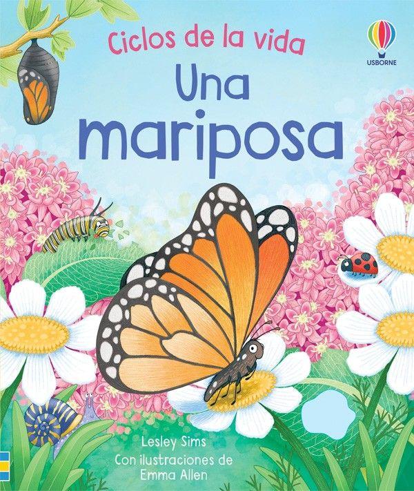 Ciclos de la vida - Una mariposa-6