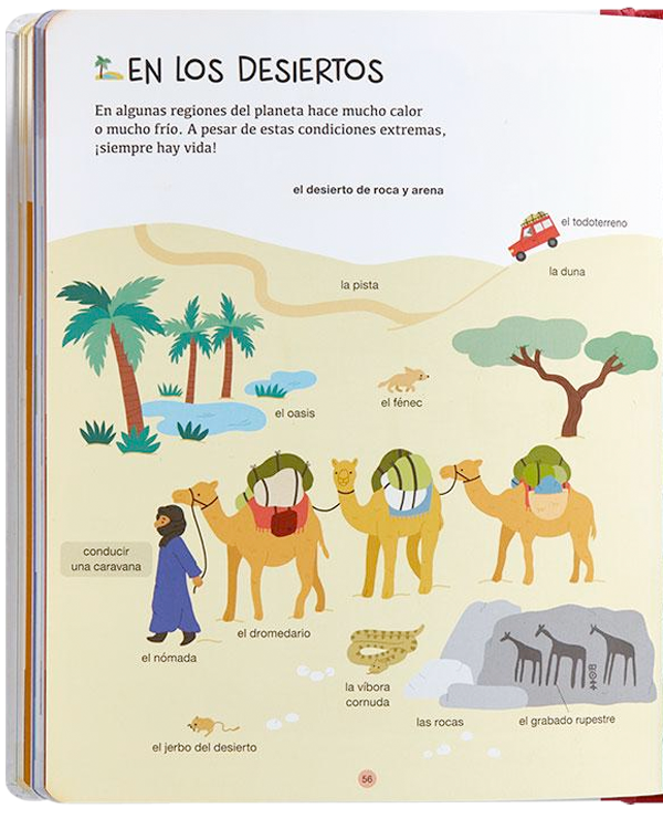 Biblioteca para mentes curiosas - La tierra-7
