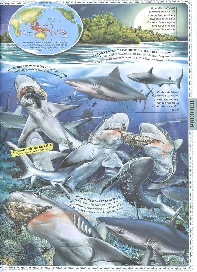 Atlas De Los Océanos-2