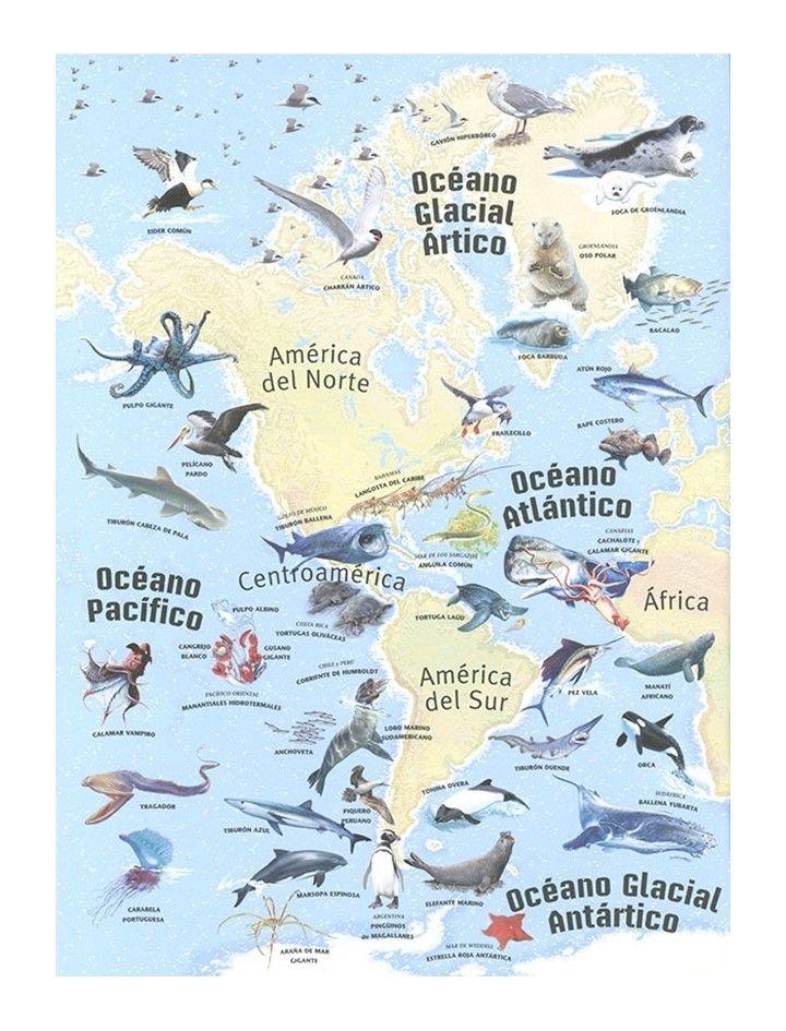 Atlas De Los Océanos-3